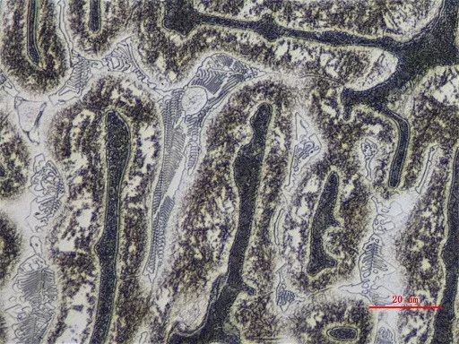 4f4696b2e0edad14e72d99d8699af302_b15ec254-63b0-4d4a-8b4c-f8b237fa9a54.jpg 4f4696b2e0edad14e72d99d8699af302_b15ec254-63b0-4d4a-8b4c-f8b237fa9a54.jpg