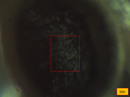 76e1ba5ebc9fd4a889d4179e6c5b9e24_22b7b5a0-abcf-4290-80c8-045ec826e20a.png 76e1ba5ebc9fd4a889d4179e6c5b9e24_22b7b5a0-abcf-4290-80c8-045ec826e20a.png